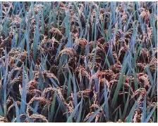 雷竞技入口 -?kp?鳇 